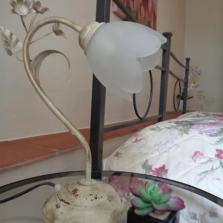 게스트하우스 La Camelia 루카