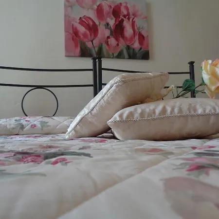 La Camelia 2*